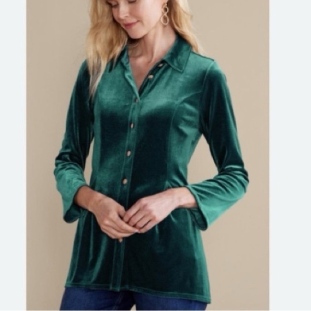 Soft Surroundings Enchanted velvet‎ shirt jewel green fairy whimsy M
